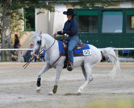 Effendi - EM Stadl Paura 2009