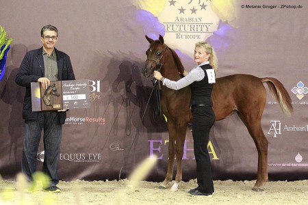 Sanjanaa in Aachen - 2015